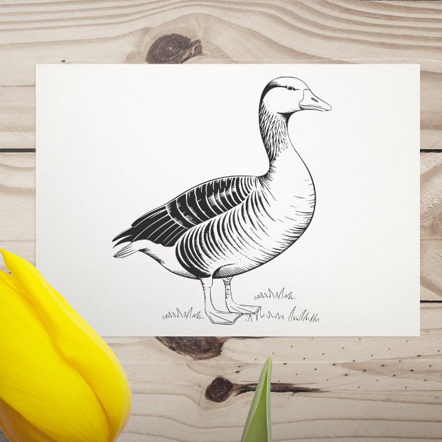 Carimbo De Borracha Ganso (Goose Rubber Stamp)