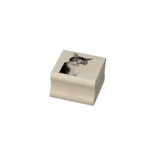 Carimbo De Borracha Gato