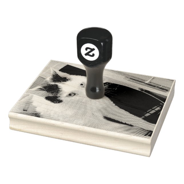 Carimbo De Borracha Gato (Carimbo)