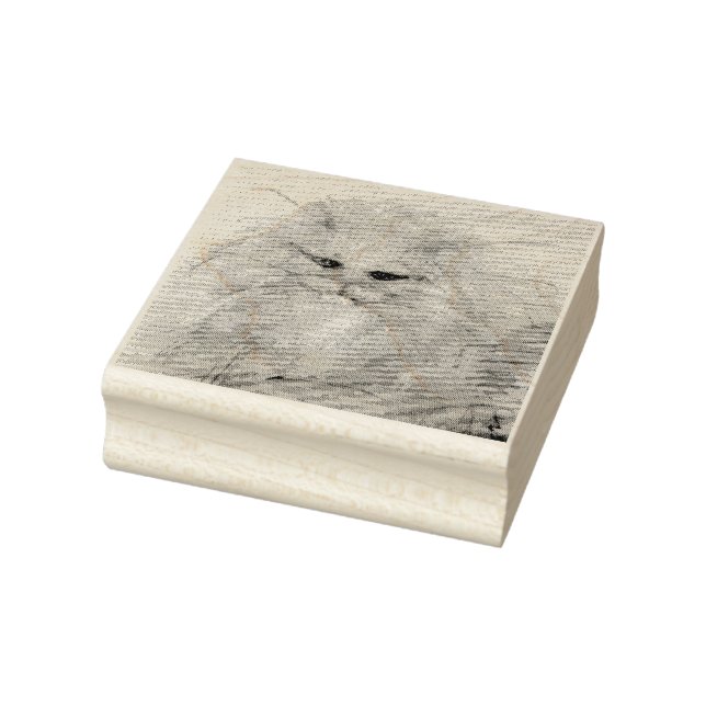 Carimbo De Borracha Gato Persa (Carimbo)