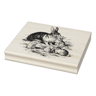 Carimbo De Borracha Ilustração da Família Vintage Rabbit, Bunnies Bebê