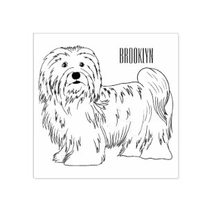 Carimbo De Borracha Ilustração de desenho animado de cão Havanês