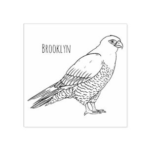 Carimbo De Borracha Ilustração de desenho animado de pássaros falcões 