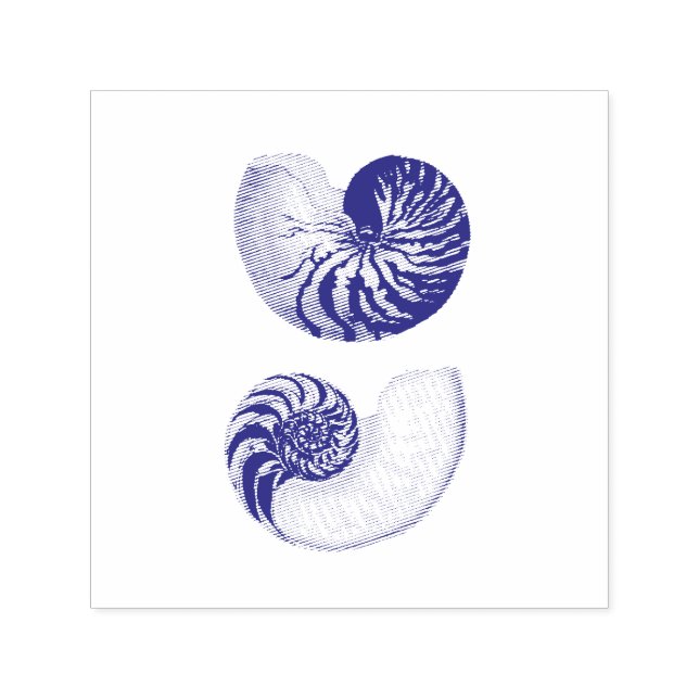 CARIMBO DE BORRACHA: ILUSTRAÇÃO DE NAUTILUS EXCELE (Design)