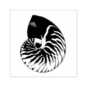Carimbo De Borracha Ilustração de Nautilus Shell