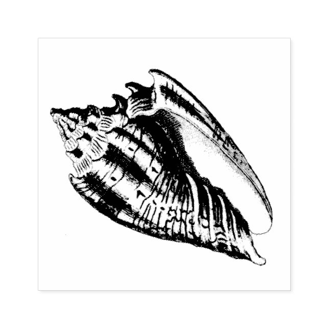 Carimbo De Borracha Ilustração de Shell de Conch (Impressão)