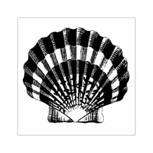 Carimbo De Borracha Ilustração de Vintagem de Shell do Scallop