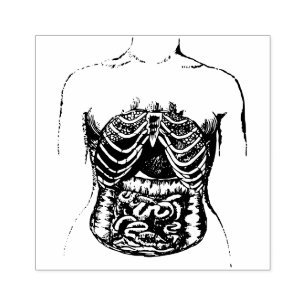 Carimbo De Borracha intestinos internos
