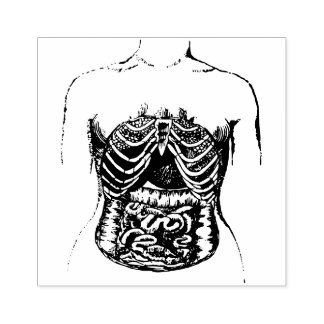Carimbo De Borracha intestinos internos