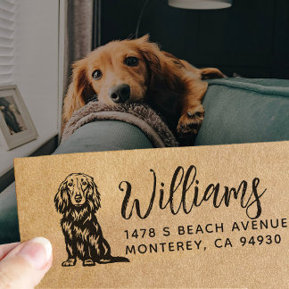 Carimbo De Borracha  Long Haired Dachshund Owner Return Address Dog