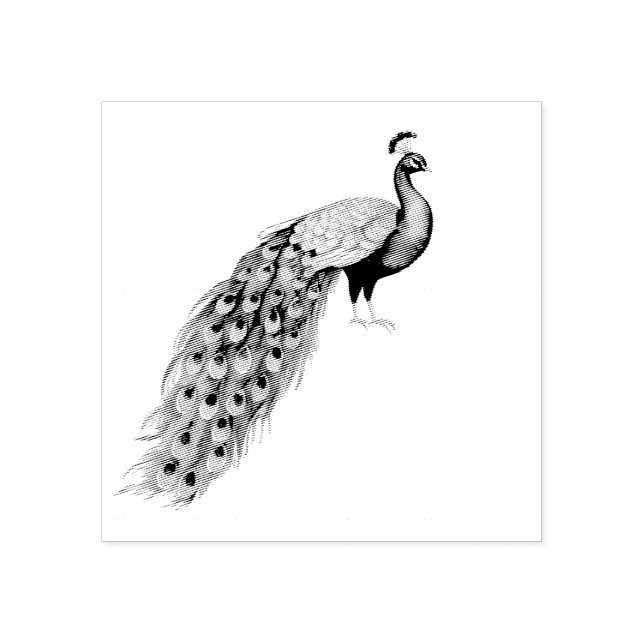 Carimbo De Borracha Modern Trendy Peacock (Impressão)