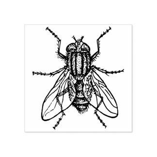 Carimbo De Borracha Mosca-da-casa