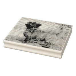 Carimbo De Borracha Mostra-te