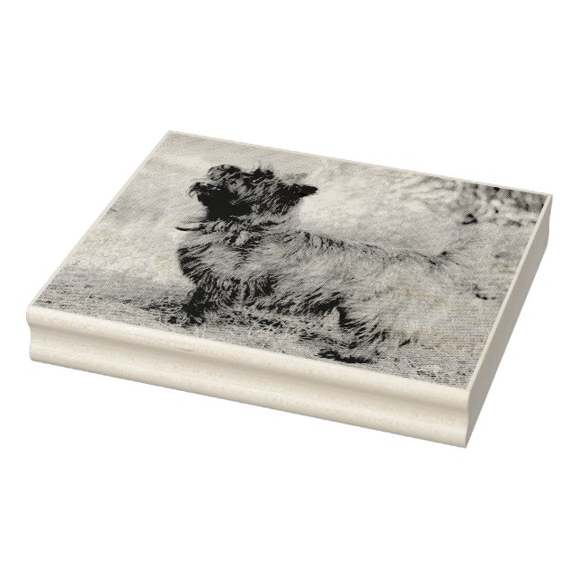 Carimbo De Borracha Mostra-te (Carimbo)