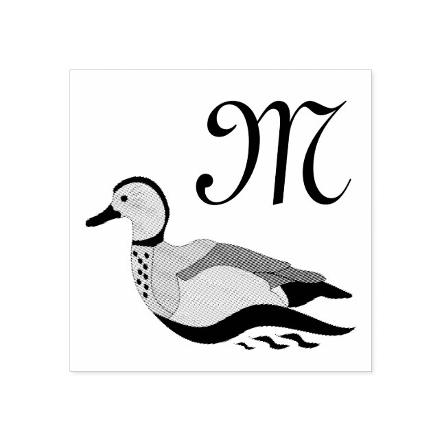 Carimbo De Borracha Nadação Adorável de Pato Teal Anelado (Impressão)