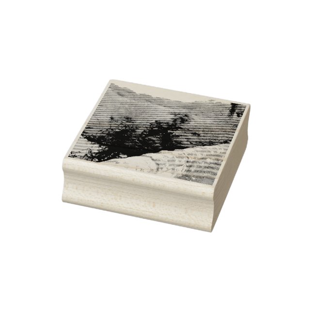 Carimbo De Borracha nature way of impersonating animals (Carimbo)