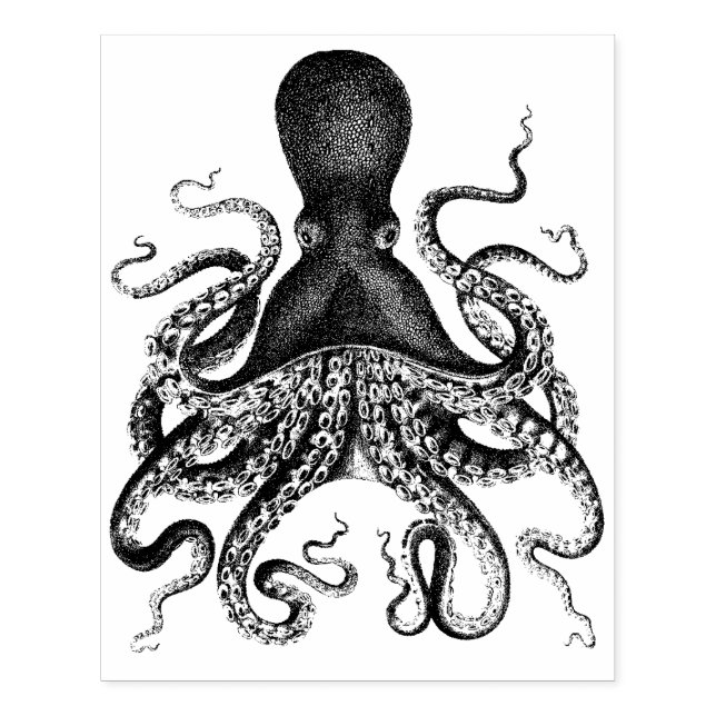 Carimbo De Borracha Octopus Vintage (Impressão)