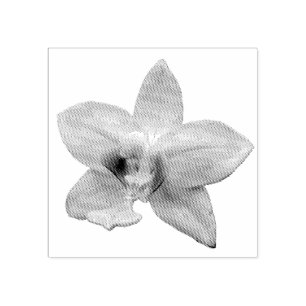 Carimbo De Borracha Orquídea Selvagem Roxa Flor Tropical