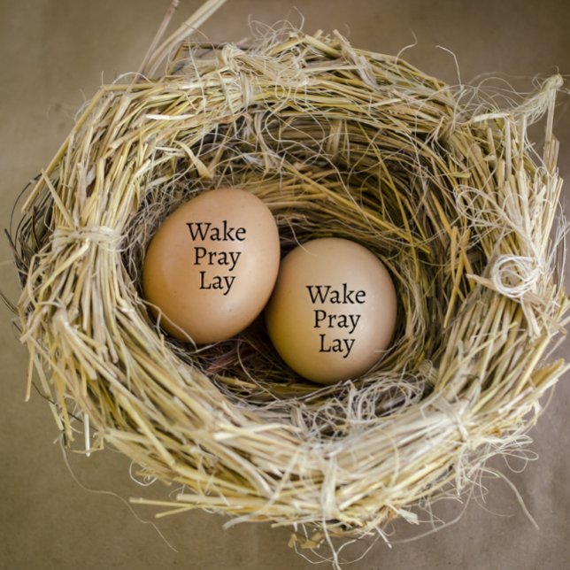 Carimbo De Borracha Ovo de depressão de Acordar personalizado moderno (modern personalized egg stamp)