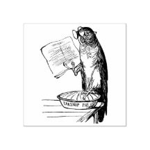 Papagaio Engraçado com óculos de leitura e tarte d