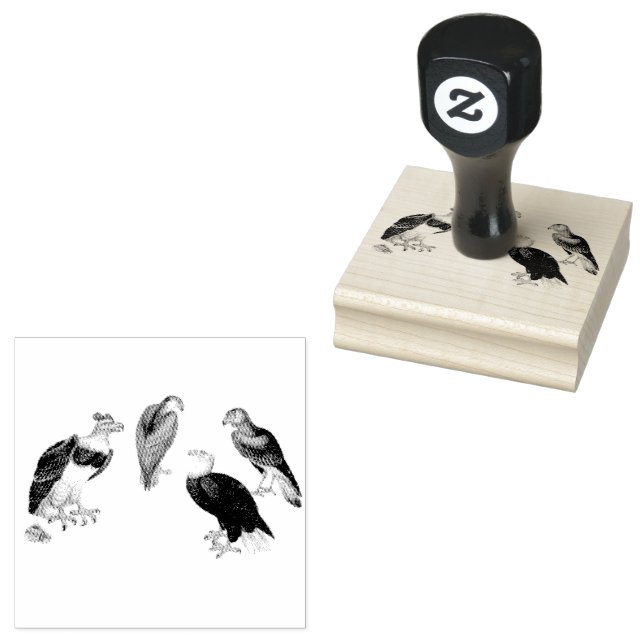Carimbo De Borracha Parafogamento de Aves de Águia Mistas (Carimbado)