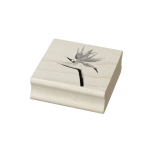 Carimbo De Borracha Pássaro da Flor Tropical Laranja do Paraíso