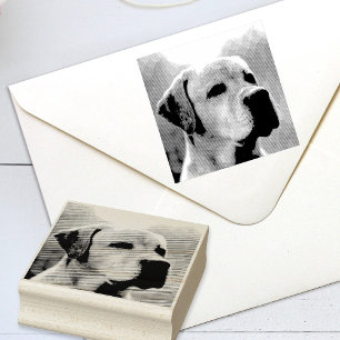 Carimbo De Borracha Pet Personalizado ou Outra Foto Personalizada