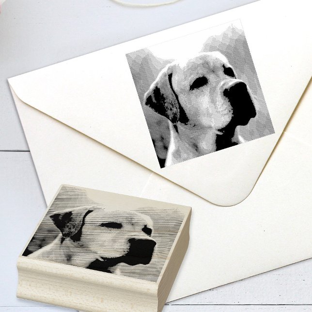 Carimbo De Borracha Pet Personalizado ou Outra Foto Personalizada (Criador carregado)