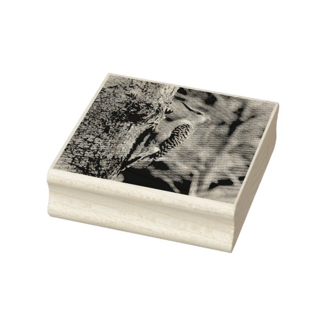 Carimbo De Borracha Pica-pau-rosa (Carimbo)