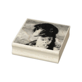 Carimbo De Borracha Piercing Eyes of Outback