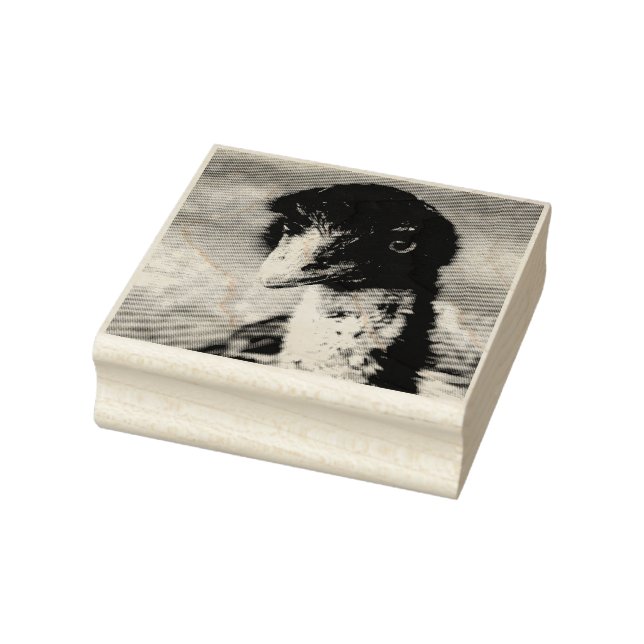 Carimbo De Borracha Piercing Eyes of Outback (Carimbo)