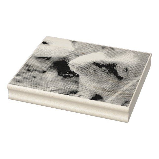 Carimbo De Borracha Piggy (Carimbo)