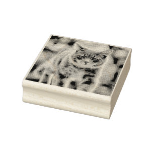 Carimbo De Borracha Pintura de gatos