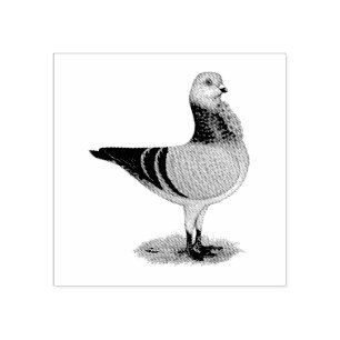 Carimbo De Borracha Pombo italiano do Grizzle da coruja