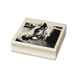 Carimbo De Borracha Pony Close-Up Photo Bber Stamp