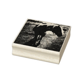 Carimbo De Borracha Pony Silhoueted Rubber Stamp