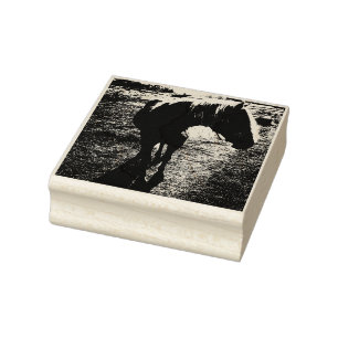 Carimbo De Borracha Pony Silhoueted Rubber Stamp