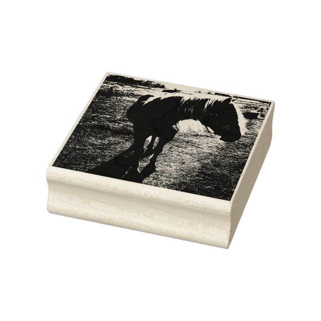 Carimbo De Borracha Pony Silhoueted Rubber Stamp (Carimbo)