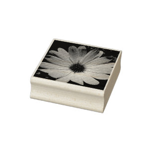Carimbo De Borracha Púrpura Daisy Flower Wood Art Stamp