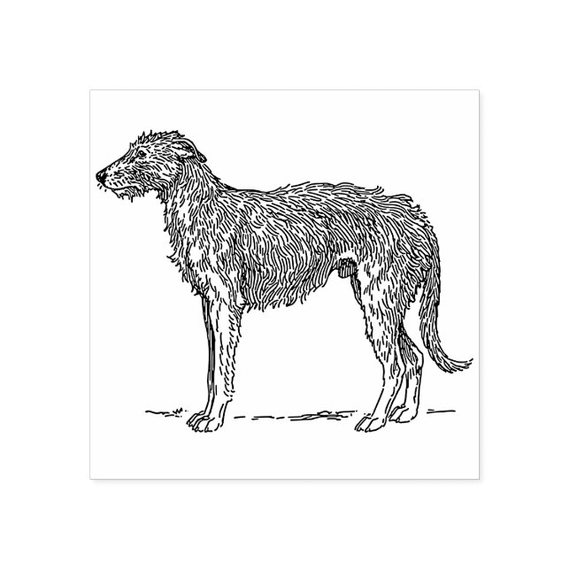 Carimbo De Borracha Scottish Deerhound (Impressão)