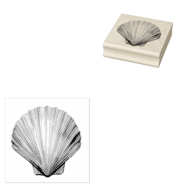 Carimbo De Borracha Seashell, Scallop Shell, Shell Rubber Stamp (Carimbado)