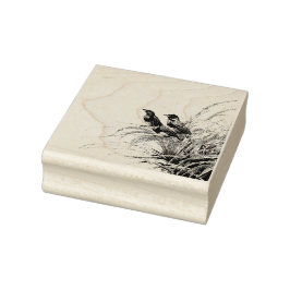 Carimbo De Borracha Selo Postal de Sturnella-roxa