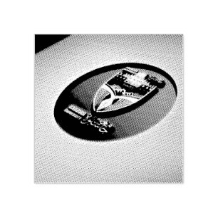 Carimbo De Borracha Selo universitário