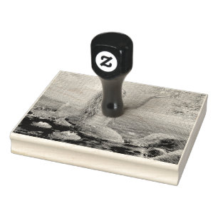 Carimbo De Borracha sereia de cabelos verdes