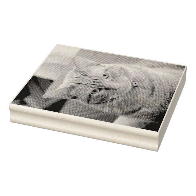 Carimbo De Borracha Sério (Carimbo)