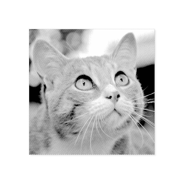 Carimbo De Borracha Seu Pet Etch | Imagem A Partir Da Foto | Personali (Impressão)