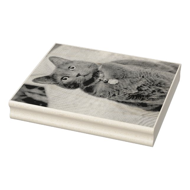 Carimbo De Borracha Sinais (Carimbo)