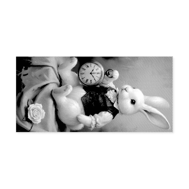 Carimbo De Borracha Storybook Bunny (Impressão)