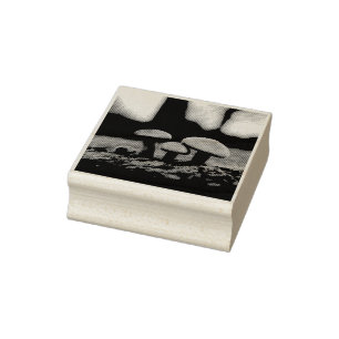 Carimbo De Borracha Timy Toadstools Macro Wood Art Stamp
