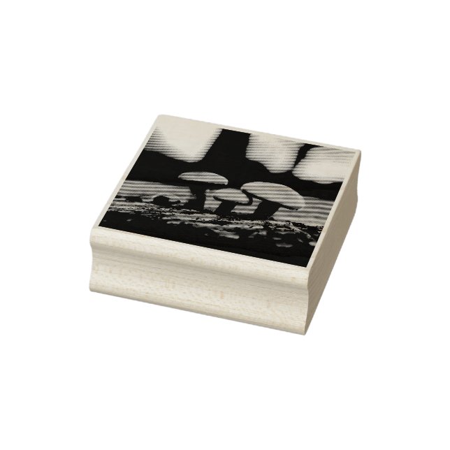 Carimbo De Borracha Timy Toadstools Macro Wood Art Stamp (Carimbo)
